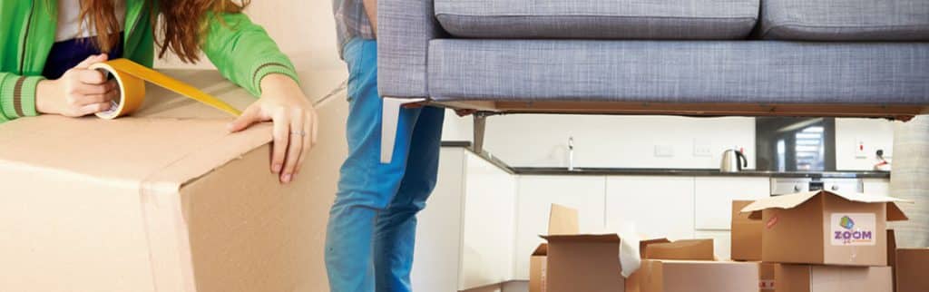 Don’t Let Pests Spoil Your Move