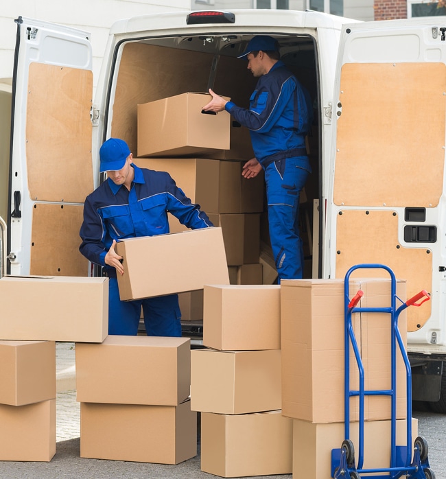 FREE Moving Boxes Sydney Free Packing Boxes ZOOM