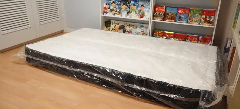 Mattress Bag