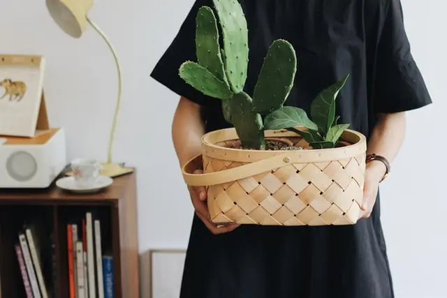 Holding A Plant