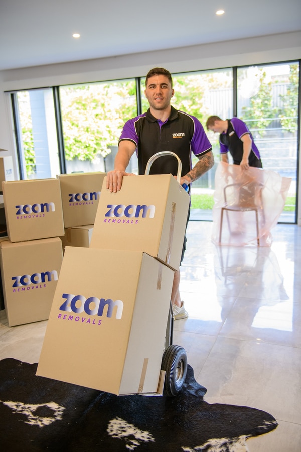 ZOOM Removals Staff Team