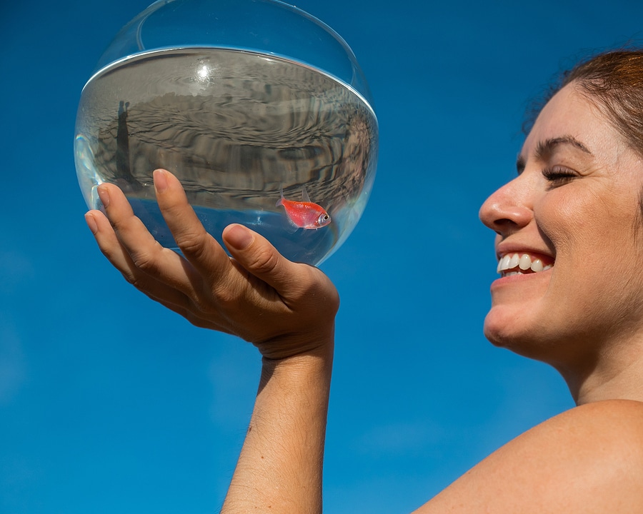 Woman Holding Round Aquarium With Goldfish On Blue Sky Backgroun