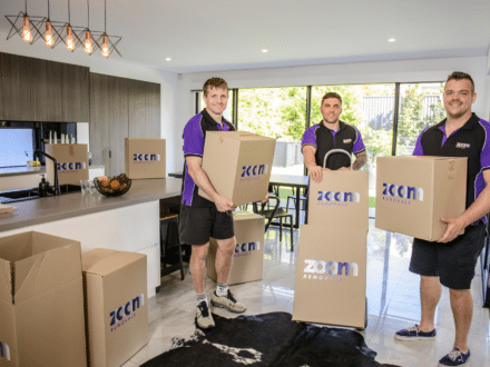ZOOM Removals Team Holding Boxes