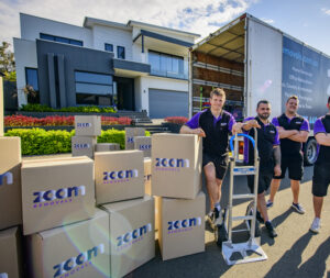 Free moving boxes with zoom removals