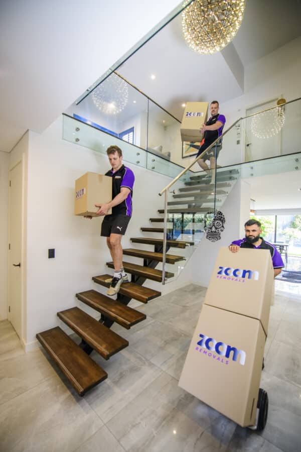 ZOOM Sydney to Sunshine Coast Removals Team