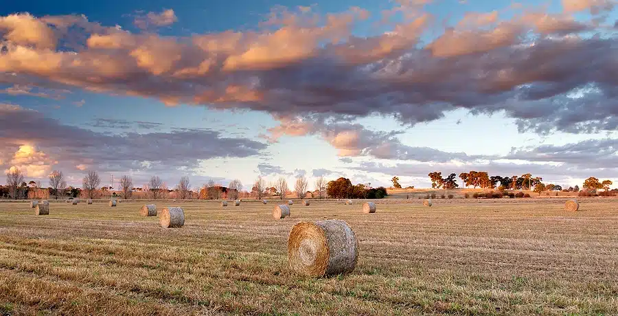 Sunset-Hay-Bales-nsw