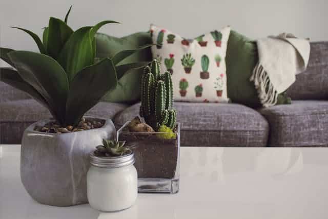Apartment Décor