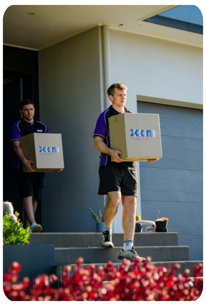 Zoom removals sydney team