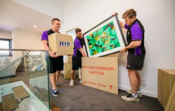 Fragile Removals In Sydney With ZOOM Removals, Transporting Delicate Artwork