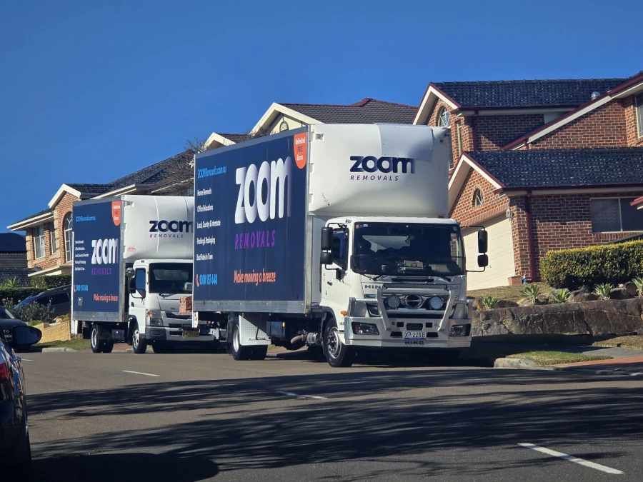 ZOOM Removalists Darling Point Team